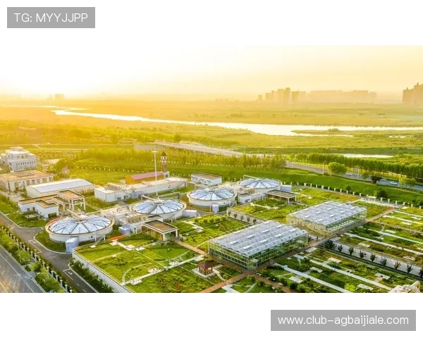 PA视讯集团持续优化客户体验,提供多元化定制服务,助推企业数字化转型升级